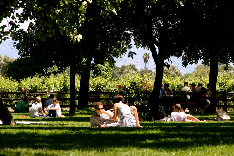 Couples on the V. Sattui picnic lawn, one of the most romantic places in Napa