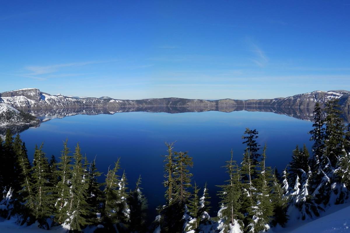 Crater Lake surrounded by trees on a cloudless day