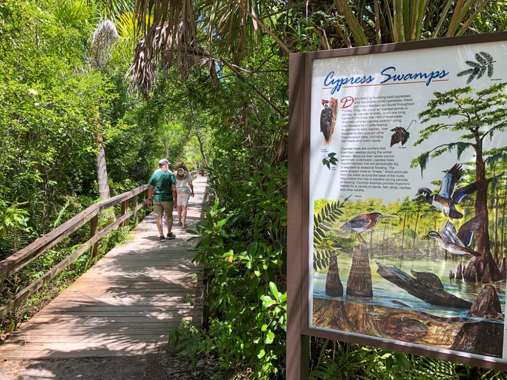 Two people walking on a boardwalk path near an interpretive sign in Everglades National Park, one of the most underrated national parks