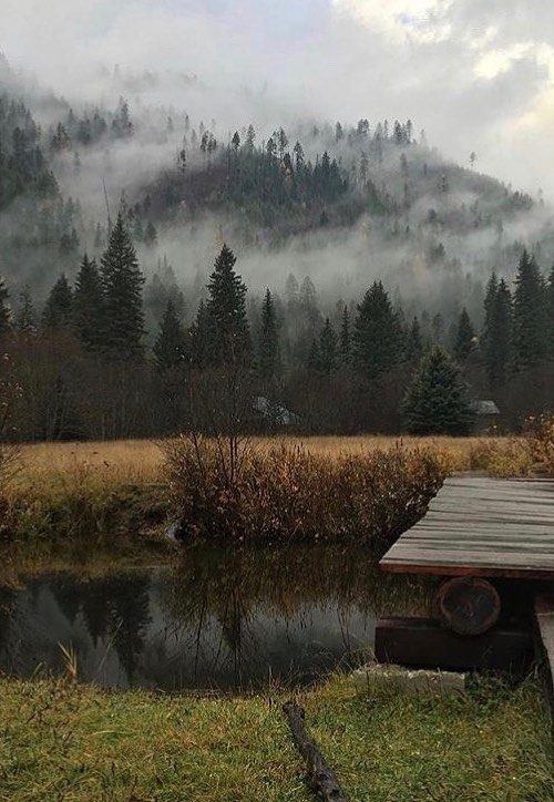 Fall colors and fog on a hillside and a creek at Northwest Montana Retreat, a place to go glamping in Montana